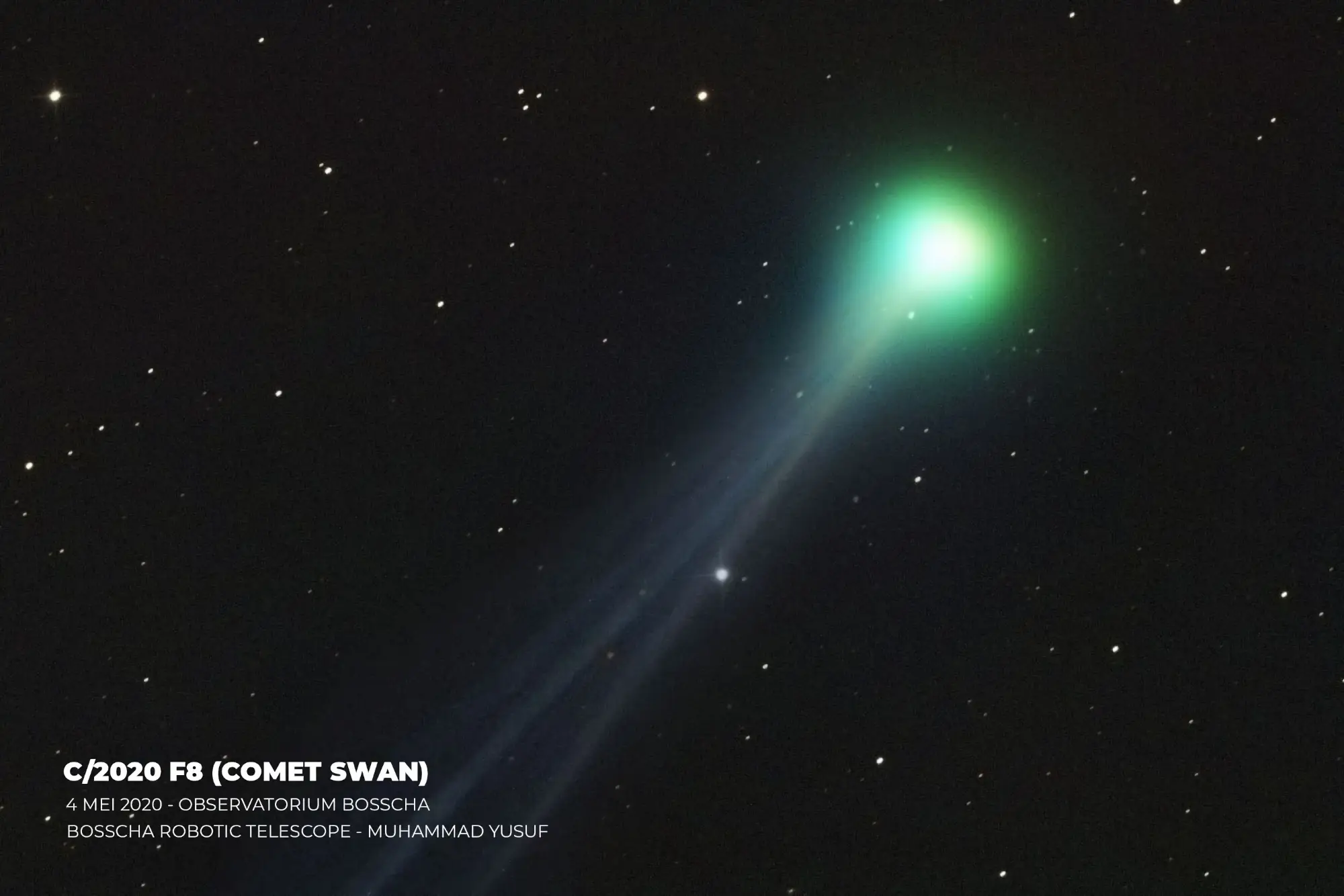 Yalangoch gozallik fotosurati